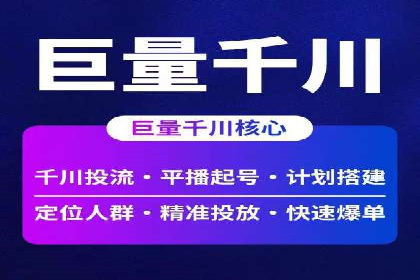 网络营销新篇章：竞价推广案例分析